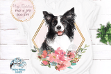 Border Collie Sublimation Png Wispy Willow Designs Company