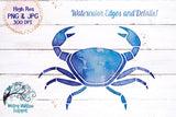 Watercolor Beach Animals Clipart | Sublimation PNGs Wispy Willow Designs Company