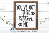 You've Got To Be Kitten Me Svg Wispy Willow Designs Company